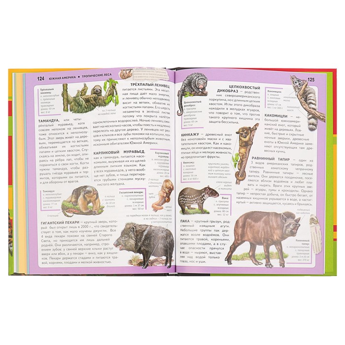 Животные. Панорама нужных знаний. Автор: Школьник Ю.К.