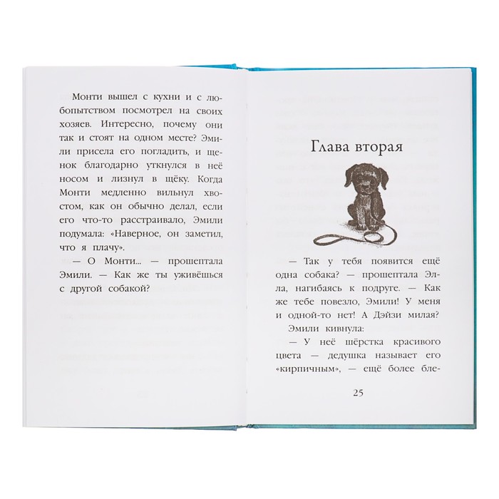 Щенок Монти, или Развесели меня! Автор: Вебб Х.