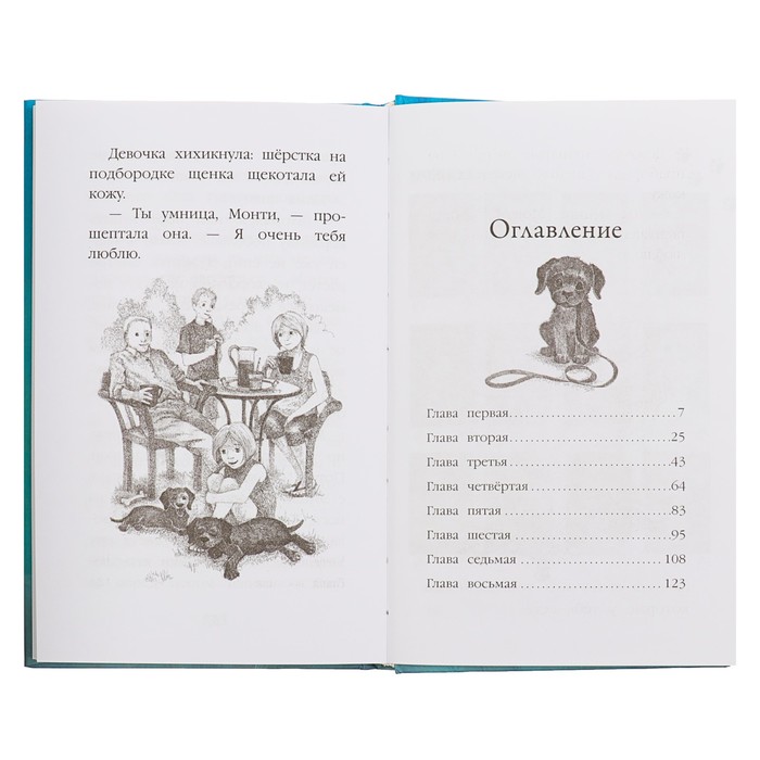 Щенок Монти, или Развесели меня! Автор: Вебб Х.