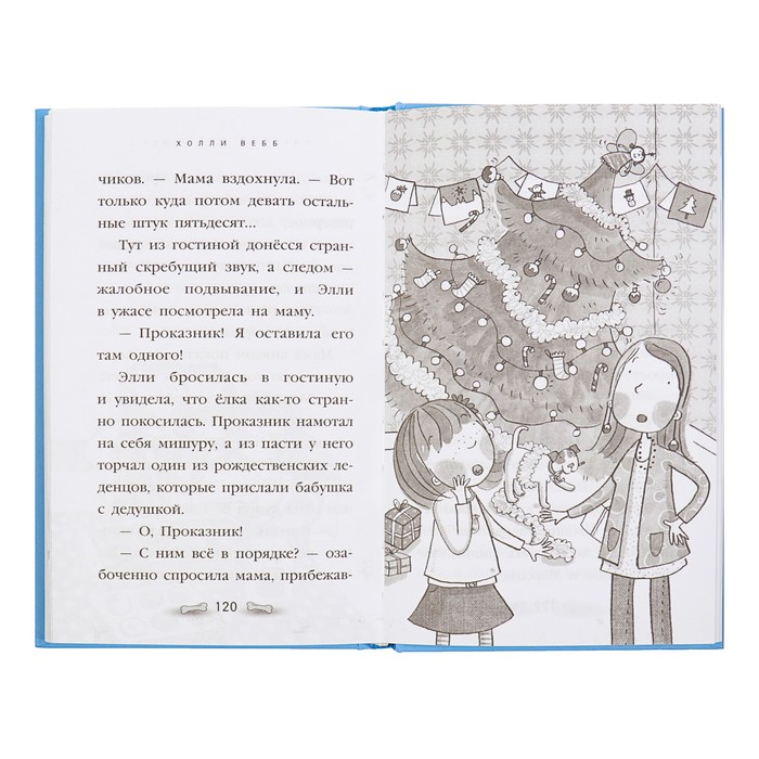 Загадай желание! Автор: Вебб Х.