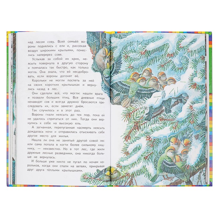 Лесные домишки (ил. М. Белоусовой). Автор: Бианки В.В.