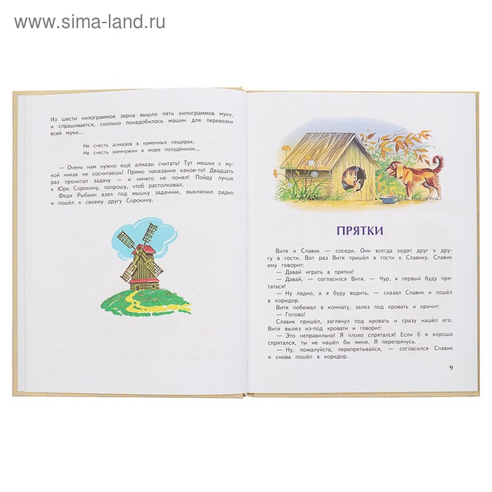 

Федина задача. Носов Н. Н.