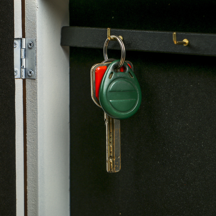 Ключница дерево 6 крючков "Павлин и бабочка 3D" белая с золотой полосой 30х20х7 см