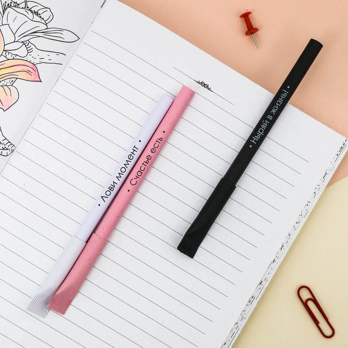 Экоручки "Для важных котозаписей!", 3 шт