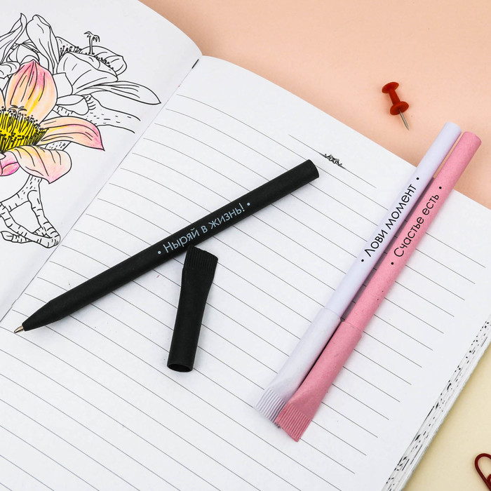 Экоручки "Для важных котозаписей!", 3 шт