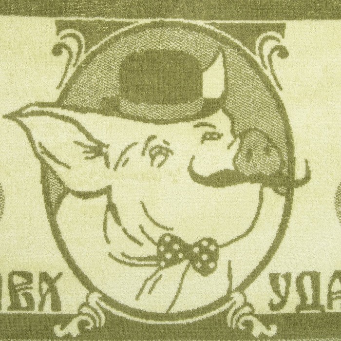 Полотенце махровое "Mister success" ПЛ-2602-3500, зеленый 50х90 см хл100% 420 гр/м