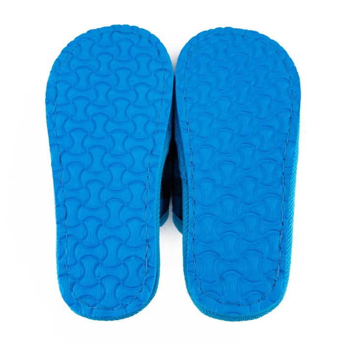 Тапочки детские (арт. А-70F-100_04 зак), цвет голубой, размер 30/31