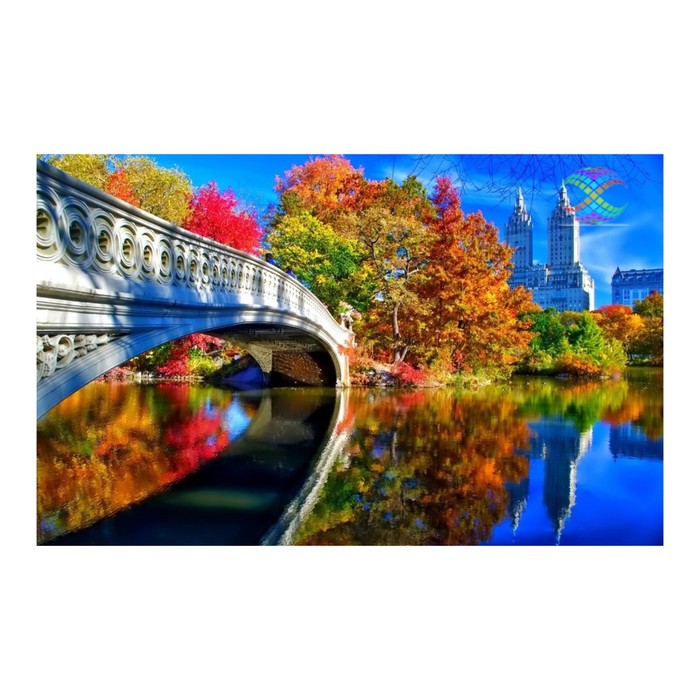 Картина стразами "Нью-Йорк. Центральный парк"