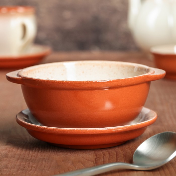 Миска с блюдцем 0,5 л