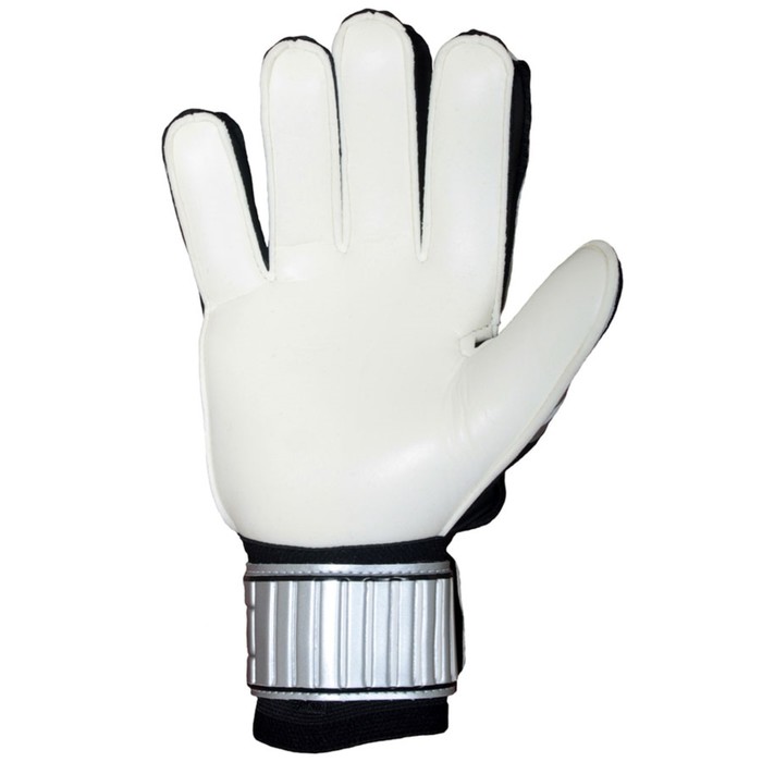 Перчатки вратарские 2K Sport Wittem white/silver/black, 10
