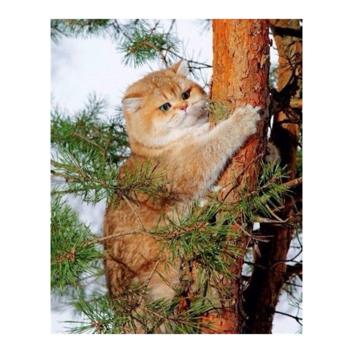 Картина стразами "Кот на дереве"