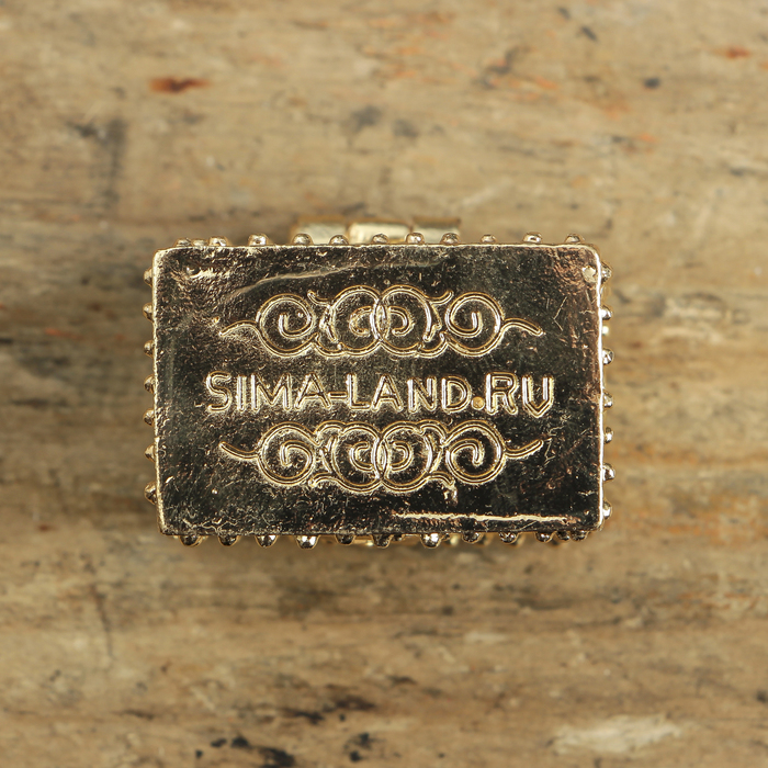 Сундук счастья с кошельковым домовенком, 3,5 х 2,7 см