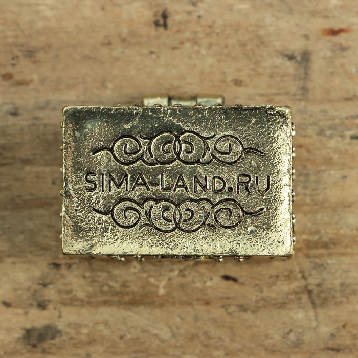 Денежный сундук с мышкой на монете , 3,5 х 2,7 см