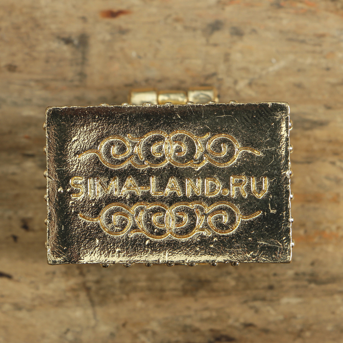 Денежный сундук с жабой на монете , 3,5 х 2,7 см