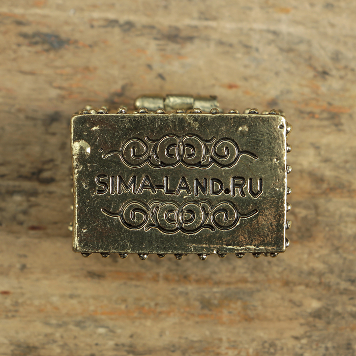 Денежный сундук с слоником на монетке , 3,5 х 2,7 см