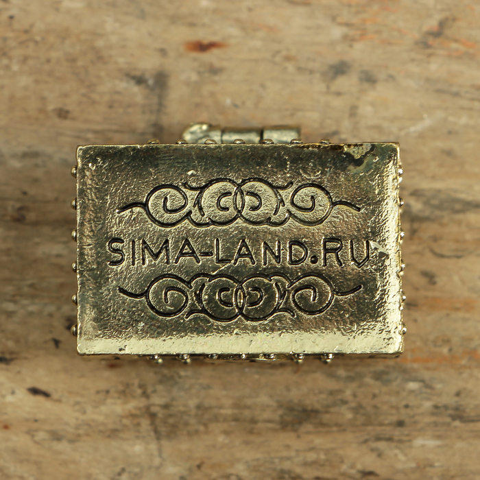 Денежный сундук с золотой жабкой, 3,5 х 2,7 см