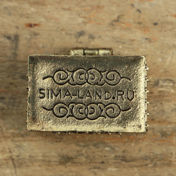 Денежный сундук с драконом прибыли, 3,5 х 2,7 см