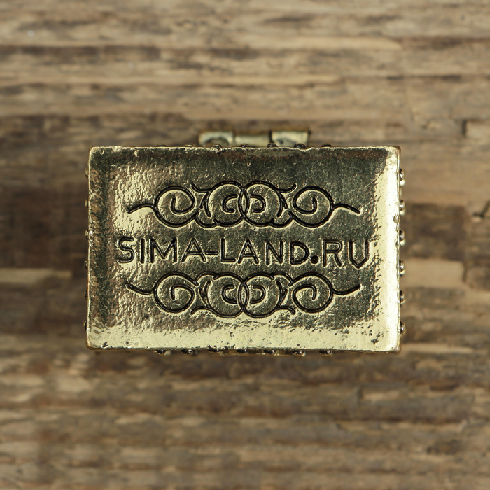 Денежный сундук с рыбкой желаний, 3,6 х 2,6 см