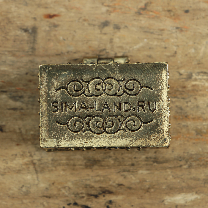 Денежный сундук с драконом богатства, 3,6 х 2,6 см