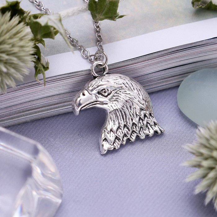 Кулон "Орёл" грозный, цвет серебро, 45 см