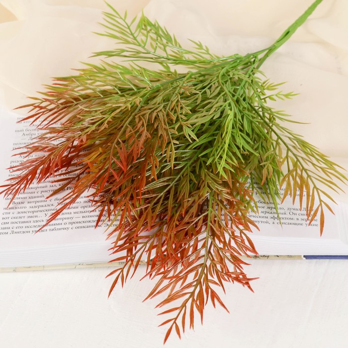 Букет "Пушистая зелень" 30 см, микс