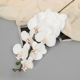Цветы искусственные "Орхидея фаленопсис бархатистая" 10*90 см, белый