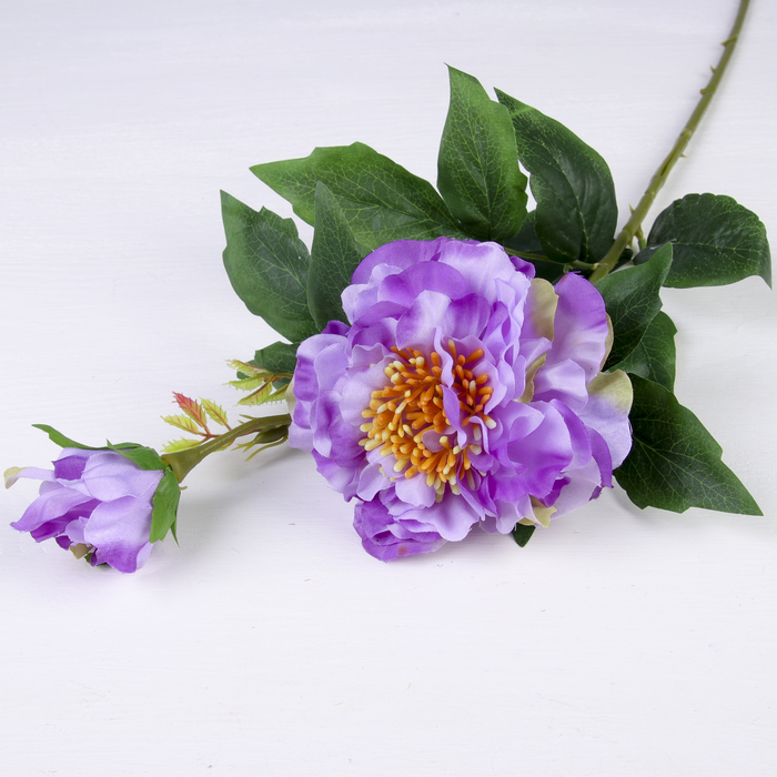 Цветы искусственные "Пион Шарм два бутона" 9,5*55 см, фиолетовый