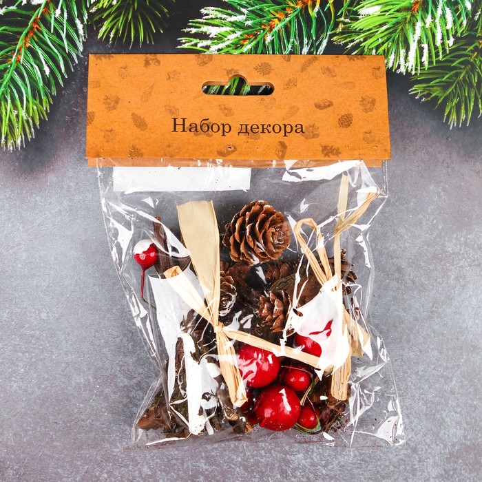 Набор новогоднего декора "Волшебная кора"