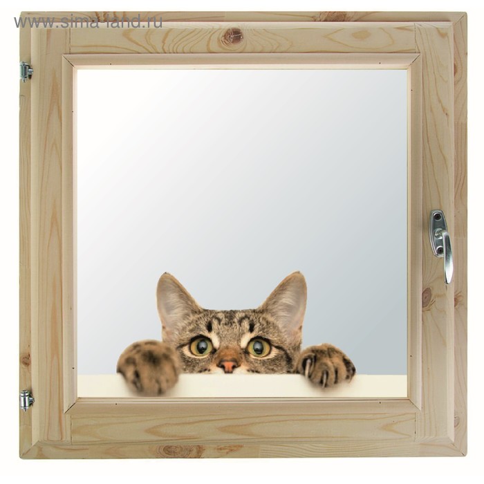 

Окно, 50×60см, "Кошак", однокамерный стеклопакет