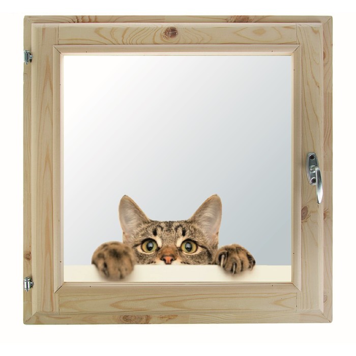 Окно 100х100 см, "Кошак", однокамерный стеклопакет, хвоя