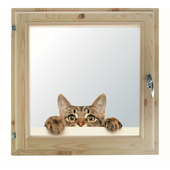 Окно 90х90 см, "Декор 13", двойной стеклопакет, уплотнитель, хвоя, "Добропаровъ"