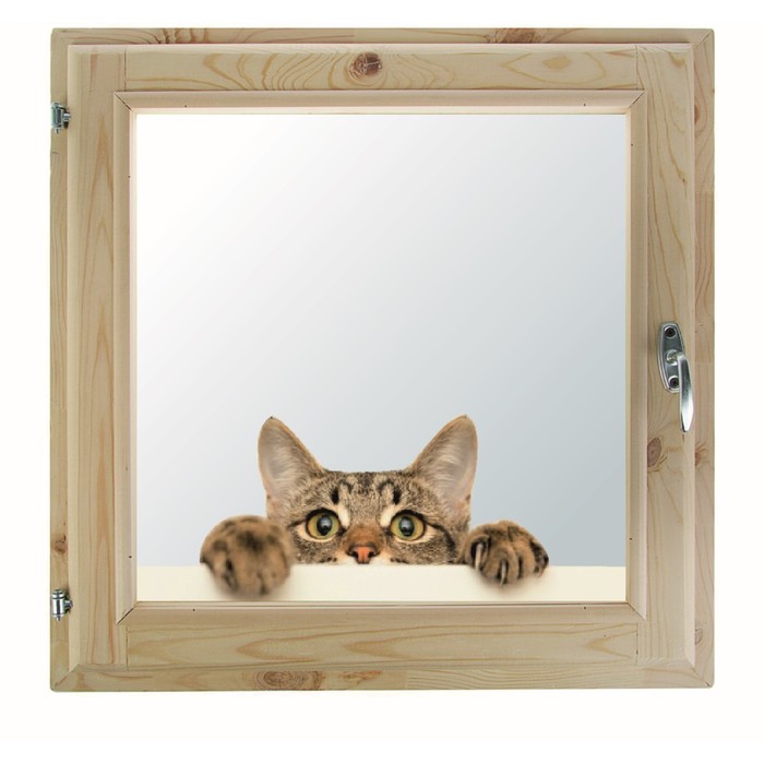 Окно 70х100 см, "Декор 13", двойной стеклопакет, уплотнитель, хвоя, "Добропаровъ"