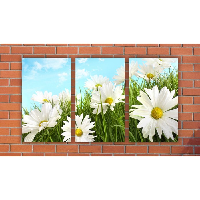 Модульная картина на экокоже "Ромашки в поле" 3 шт.-30x50, 94*50 см
