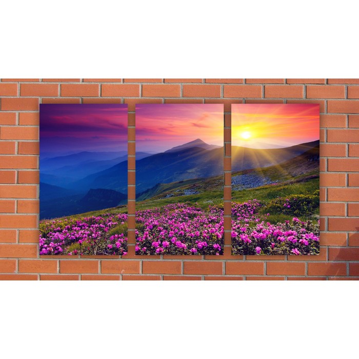 Модульная картина на экокоже "Поле розовых цветов" 3 шт.-30x50, 94*50 см