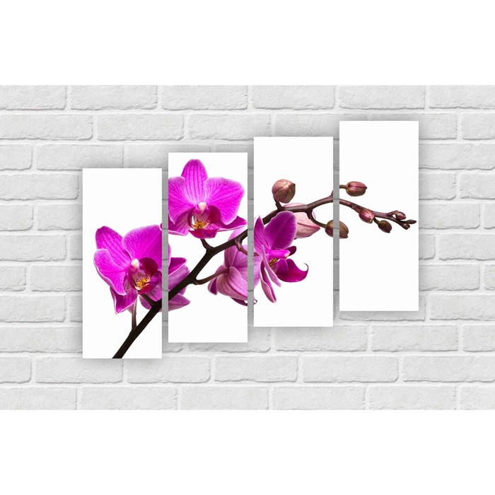 Модульная картина на экокоже "Архидея белая" 4 шт.-25x60, 106*60 см