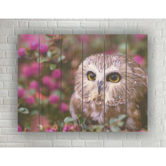 Картина на дереве в стиле Loft "Совушка" 56*42 см