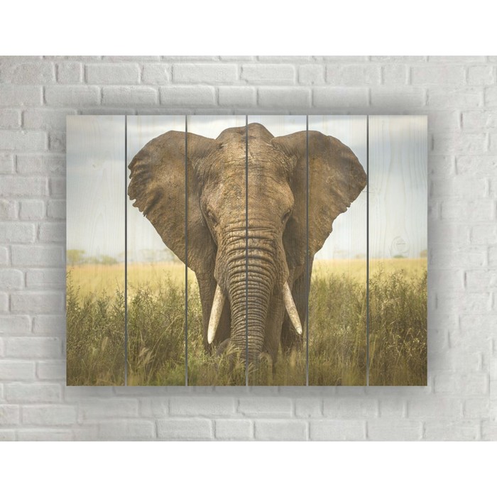 Картина на дереве в стиле Loft "Слон в поле" 56*42 см