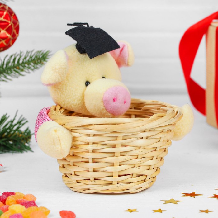 Конфетница "Свинка в академической шапочке", вместимость 100 г