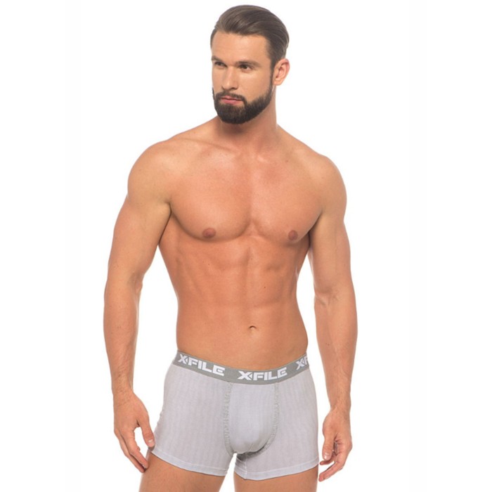 Трусы мужские  XF-Boxer DARIO grigio S