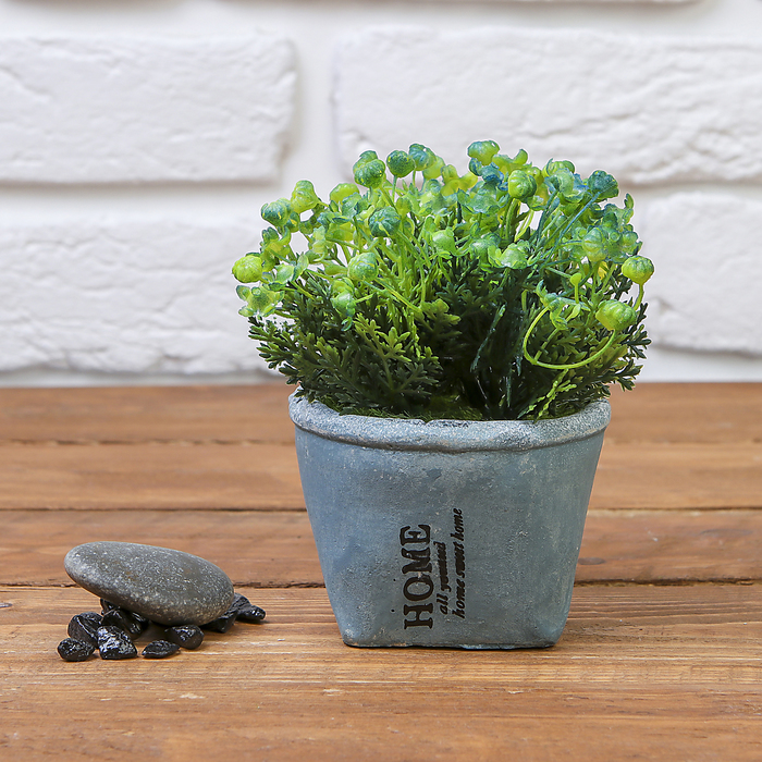 Бонсай "Ягодный цвет" 8*12,5 см, микс