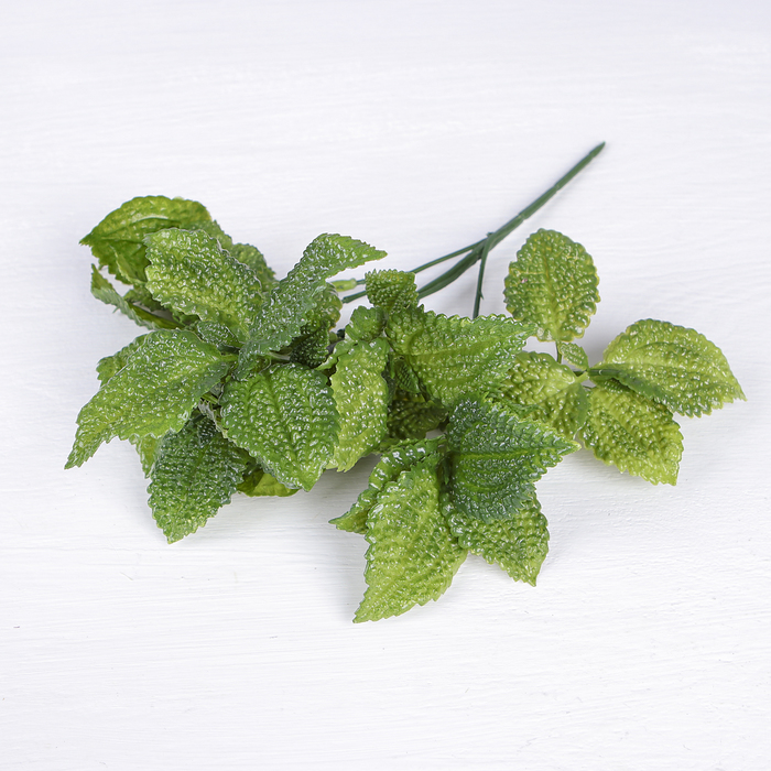 Букет "Фактурная листва" 26 см, микс