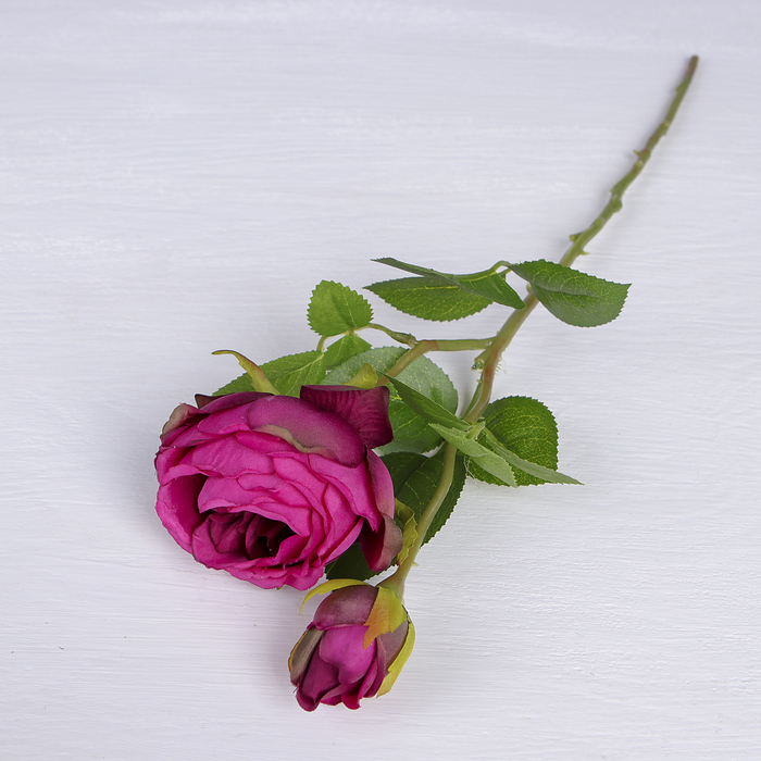 Цветы искусственные "Роза пионовидная два бутона" 7*37 см, фиолетовый
