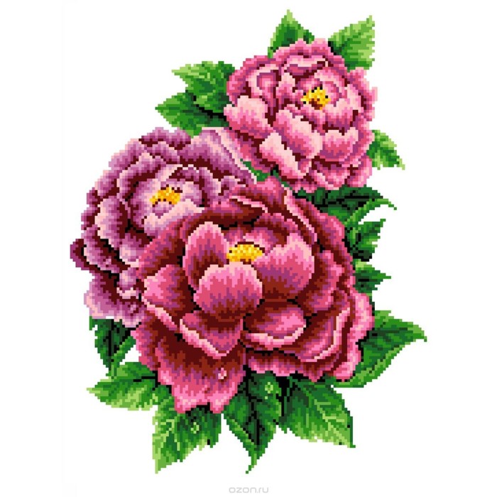 Набор крестом канва с рисунком "Розовые пионы"