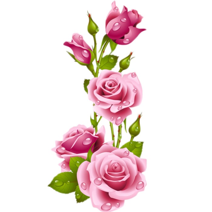 Набор крестом канва с рисунком "Розы"