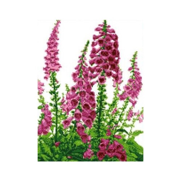 Набор крестом канва с рисунком "Яркий мир"