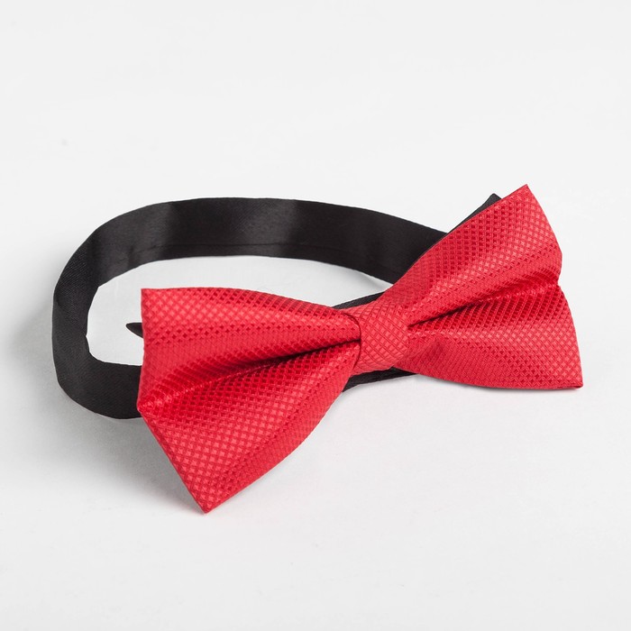 Набор мужской KAFTAN "Real man" носки и бабочка, размер 41-44 (27-29 см)