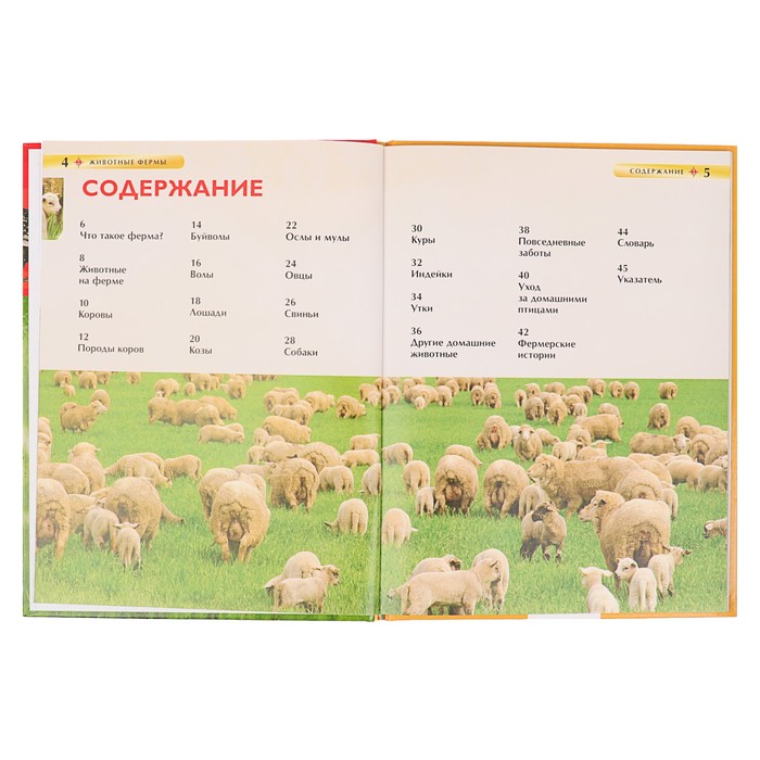 Детская энциклопедия «Животные фермы»