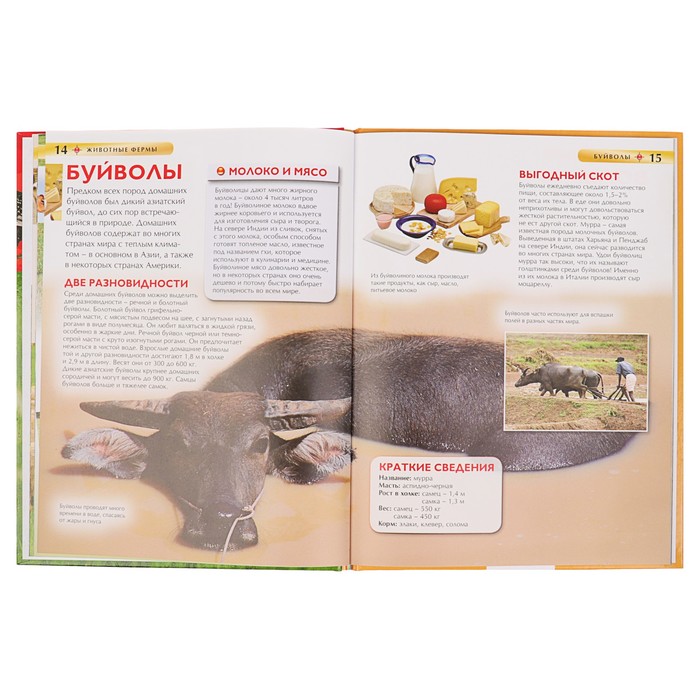 Детская энциклопедия «Животные фермы»