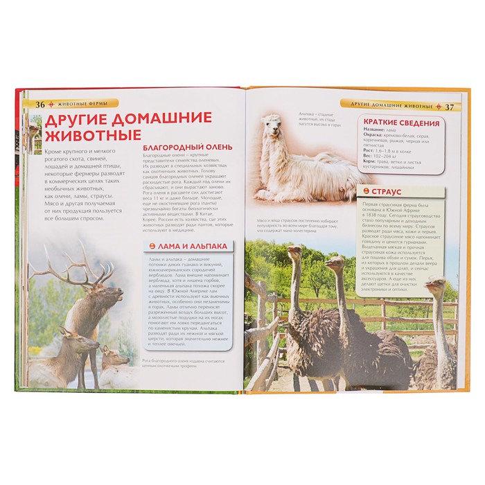 Детская энциклопедия «Животные фермы»