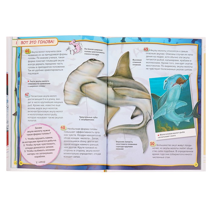 100 фактов «Акулы»